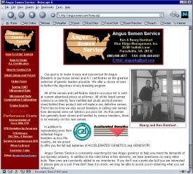 Angus Semen Service